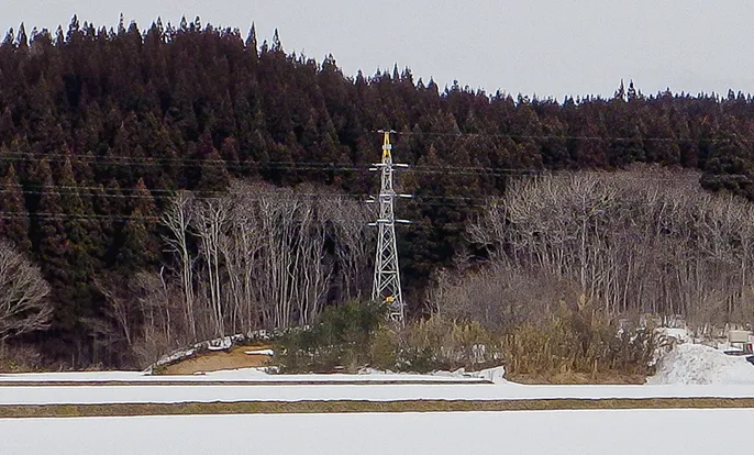 適切に間伐されている森林
