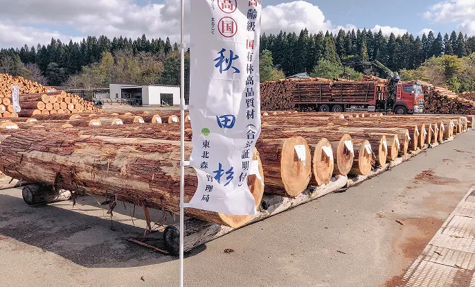 収穫され市場に並ぶ原木